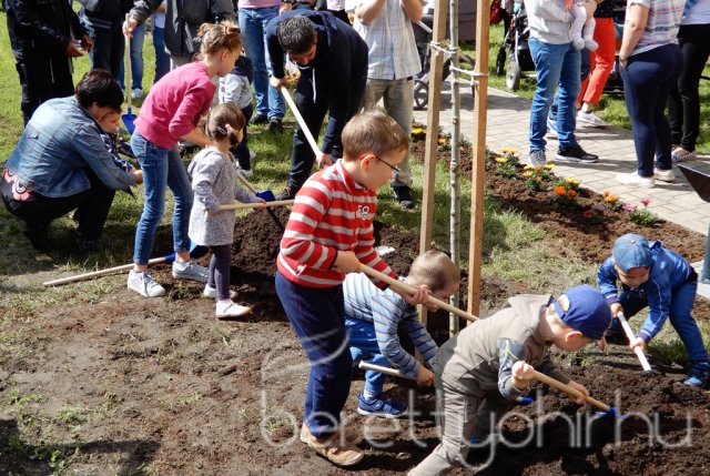 Életfát ültettünk 18